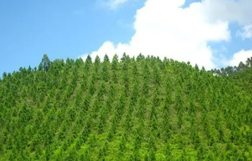 固态锂电池疲劳失效机制被揭示